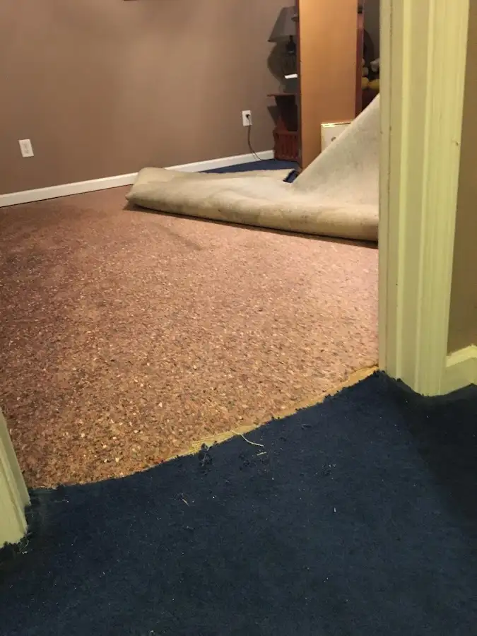 Carpet pad removal revealing water damage during Drying & Dehumidification in Union Beach