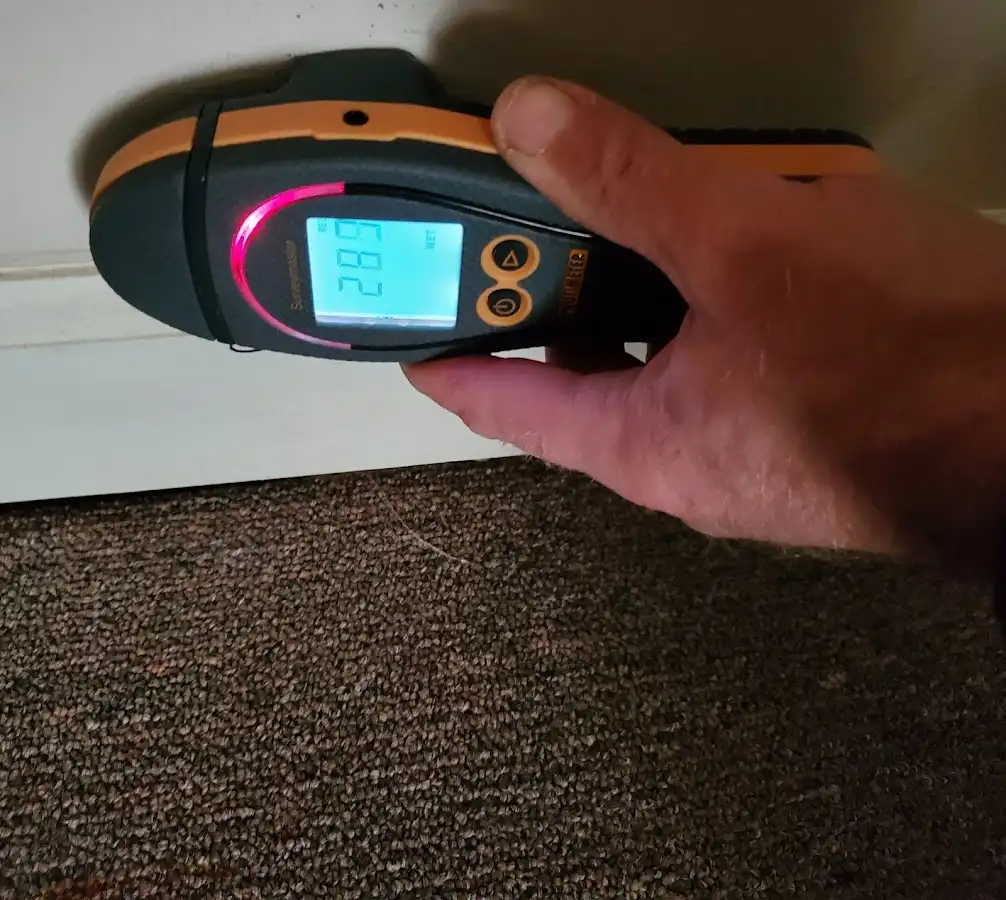 Moisture detection at baseboard during Sewage Cleanup & Sanitation in Union Beach